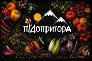 Підопригора